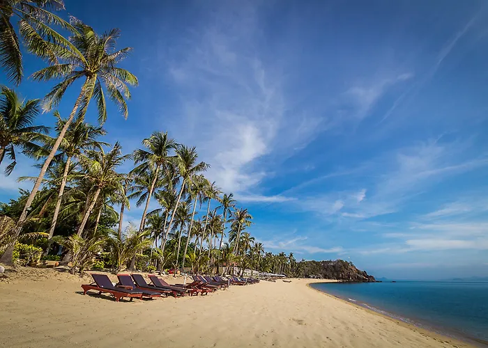 Coco Palm Beach Resort - SHA Plus